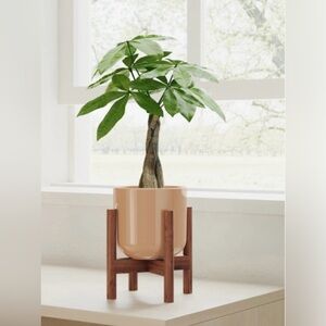 Easyplant Plant Stand
